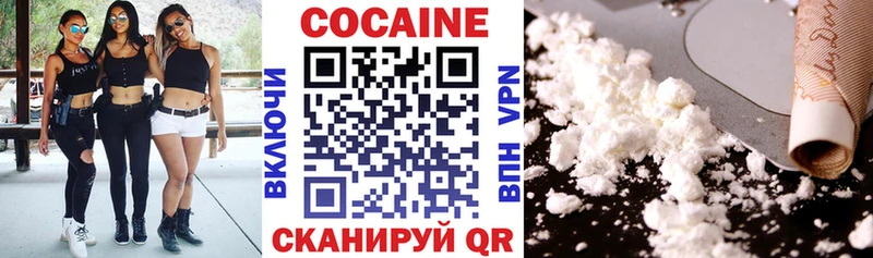 Cocaine FishScale  купить   Егорьевск 