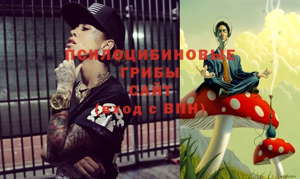 синтетический гашиш Алексин