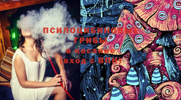 синтетический гашиш Алексин
