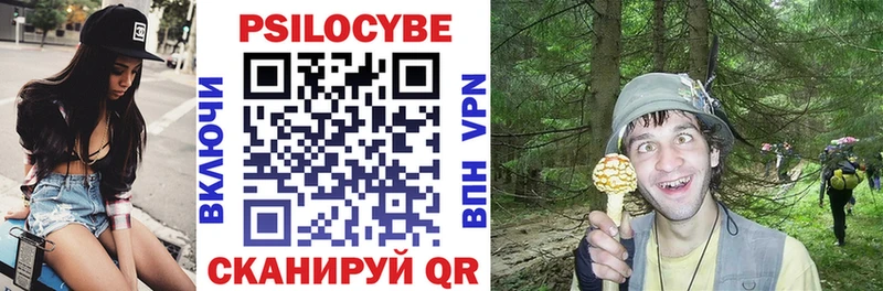 магазин    Егорьевск  Псилоцибиновые грибы мухоморы 