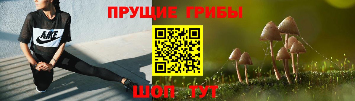Галлюциногенные грибы GOLDEN TEACHER  Вход с VPN  Егорьевск 